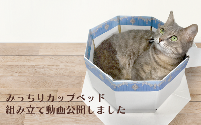 みっちりカップベッド組み立て動画を公開